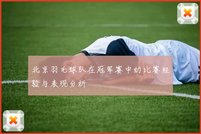 北京羽毛球队在冠军赛中的比赛经验与表现分析