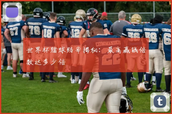 世界杯赌球赔率揭秘:最高赢钱倍数达多少倍