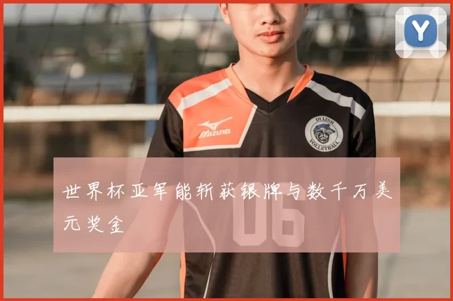 世界杯亚军能斩获银牌与数千万美元奖金