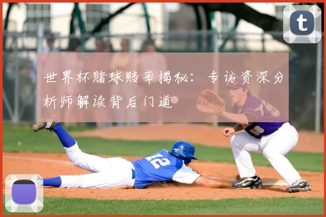 世界杯赌球赔率揭秘:专访资深分析师解读背后门道