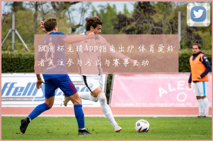 欧洲杯竞猜App指南出炉 体育爱好者关注参与方式与赛事互动