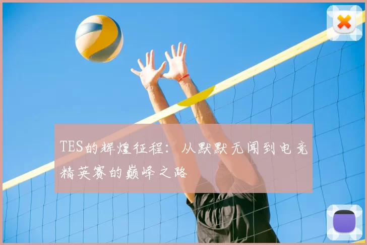 TES的辉煌征程:从默默无闻到电竞精英赛的巅峰之路