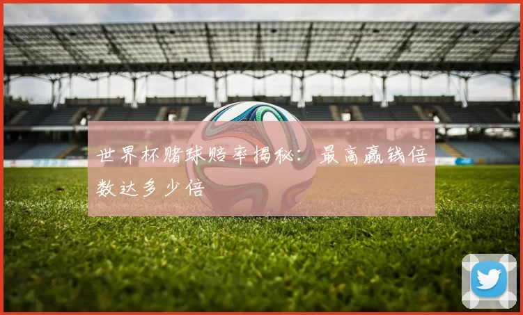 世界杯赌球赔率揭秘:最高赢钱倍数达多少倍