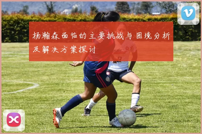 杨瀚森面临的主要挑战与困境分析及解决方案探讨