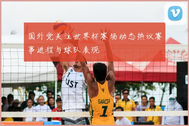 国外党关注世界杯赛场动态热议赛事进程与球队表现