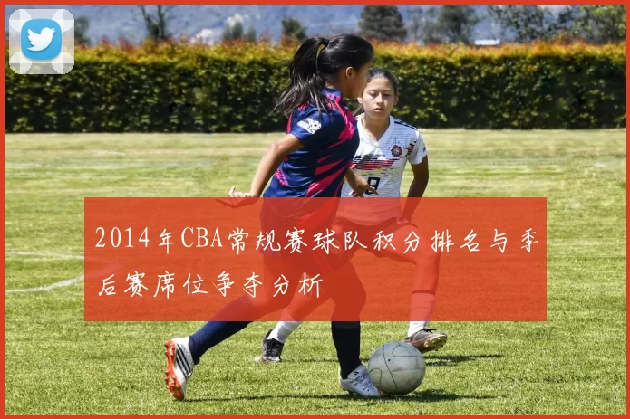 2014年CBA常规赛球队积分排名与季后赛席位争夺分析