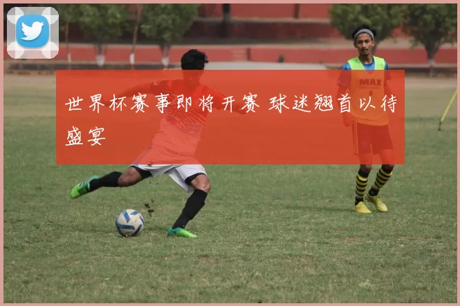 世界杯赛事即将开赛 球迷翘首以待盛宴