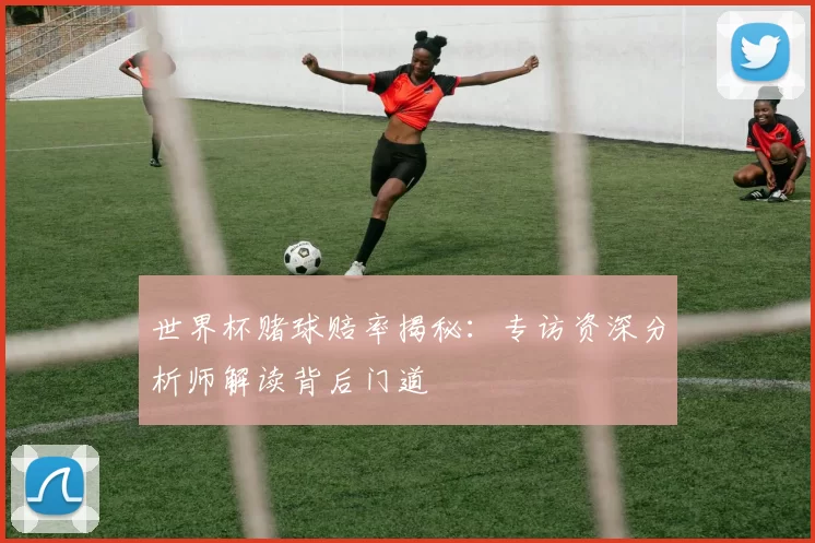 世界杯赌球赔率揭秘：专访资深分析师解读背后门道