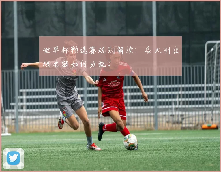 世界杯预选赛规则解读：各大洲出线名额如何分配？