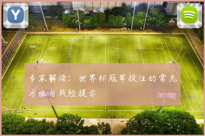 专家解读:世界杯冠军投注的常见方法与风险提示