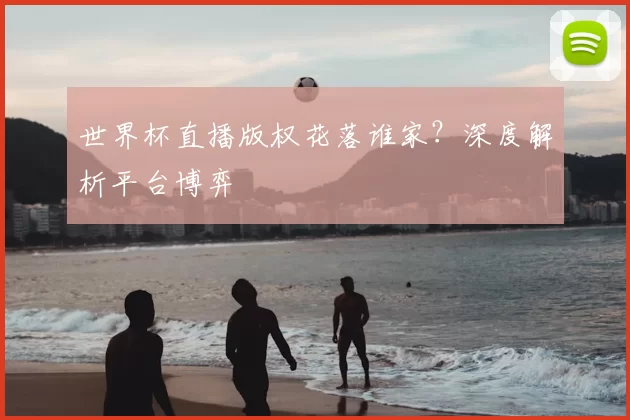 世界杯直播版权花落谁家?深度解析平台博弈