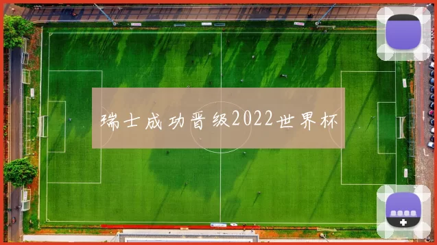 瑞士成功晋级2022世界杯