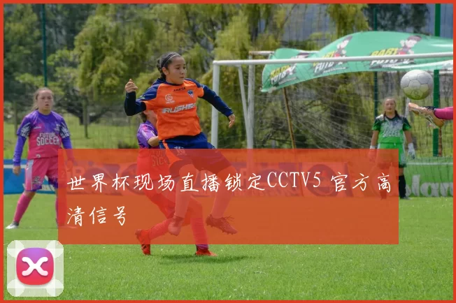 世界杯现场直播锁定CCTV5 官方高清信号
