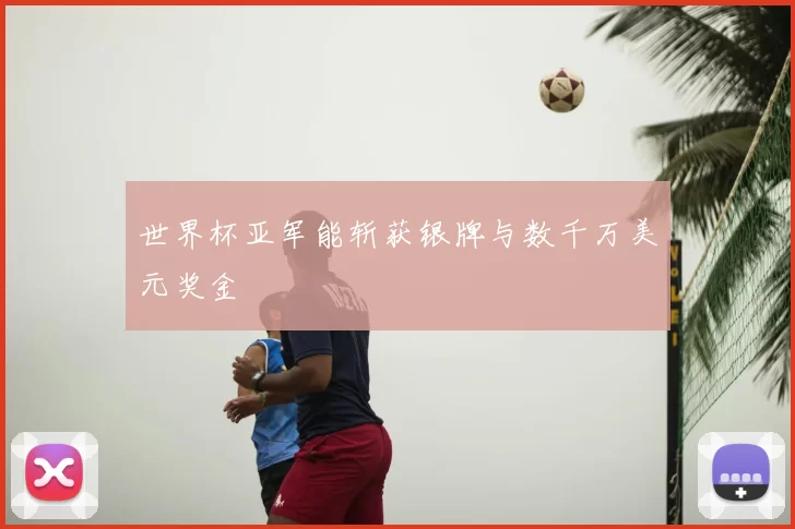 世界杯亚军能斩获银牌与数千万美元奖金